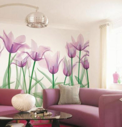 dịch vụ dán tường