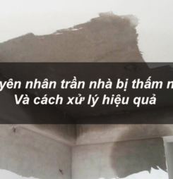 Nguyên nhân trần nhà bị thấm nước và cách xử lý hiệu quả Nguyên nhân trần nhà bị thấm nước