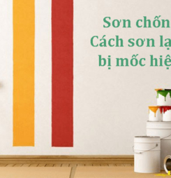 Sơn chống mốc – Giải pháp và cách sơn lại tường bị mốc hiệu quả?